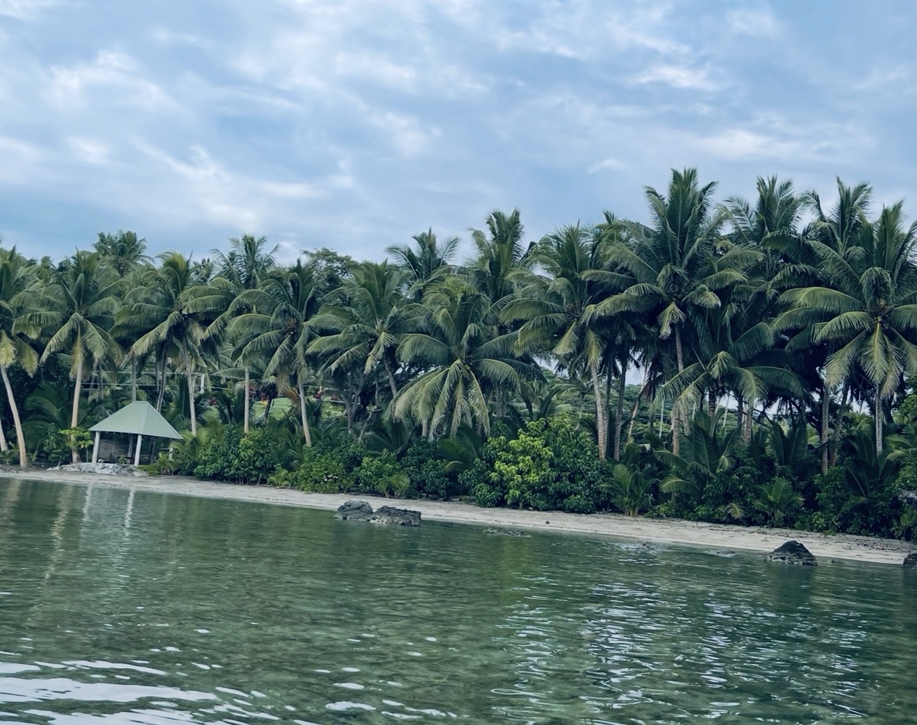 Namawa Estate's palm-lined private beach in Savusavu, Fiji