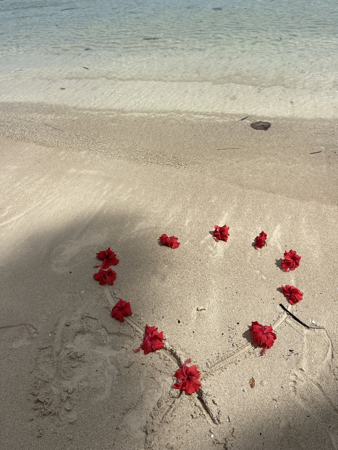 Flowers arranged on Namawa's private beach